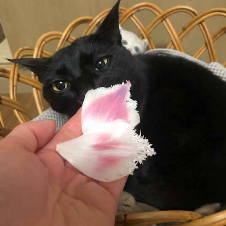 E8ff755c 1c35 4b73 b006 7c1a5070a559 1613140761028