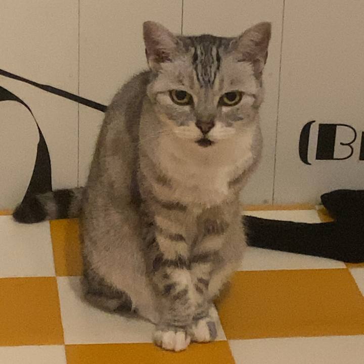 E8ff7dd1 3209 442b a4b1 4908dba9b54e 1752576531604