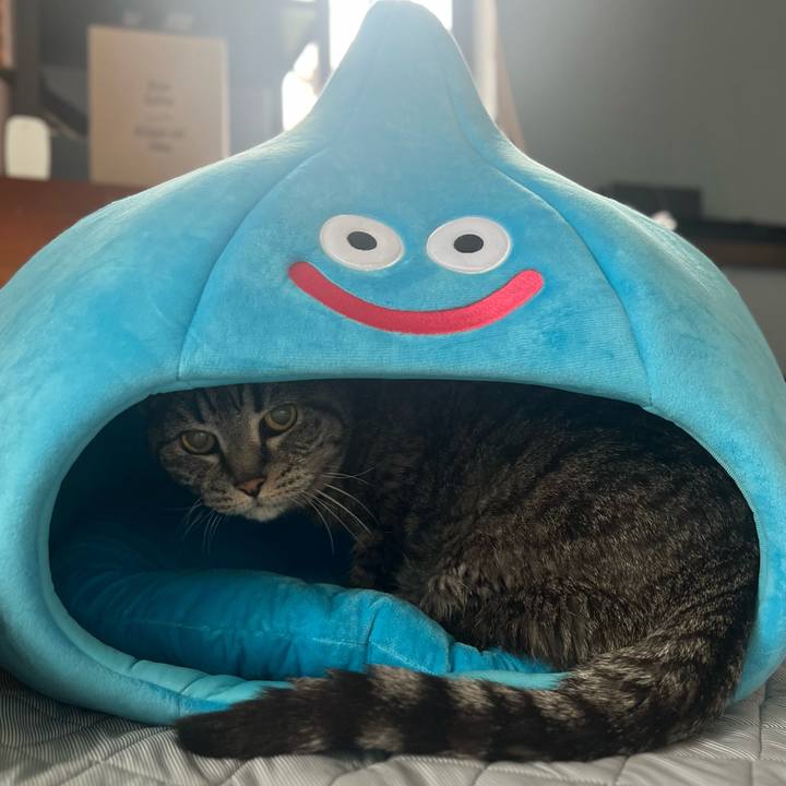 E8ff893c 7b82 4a05 98ab d75fdbf8b8c9 1759837538290