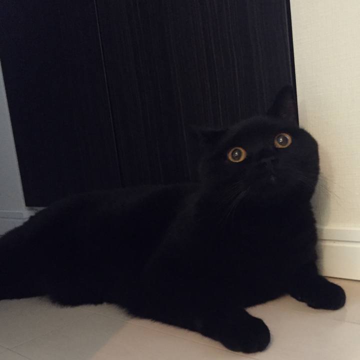 E8ff9004 e960 4031 8709 ca4331a3b67f 1530961071439