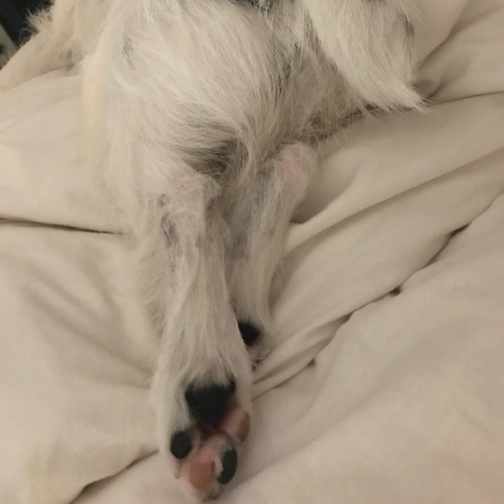 E8ff9932 a782 4833 9e33 c37b4cda8960 1528382255756