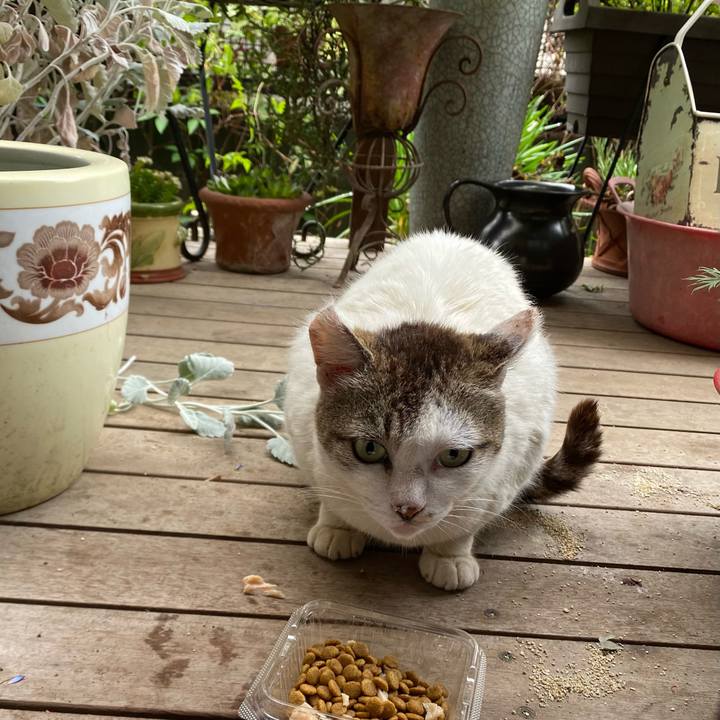 E8ffc1eb edaf 4a1d abb2 2e6aeae39c45 1654986039523