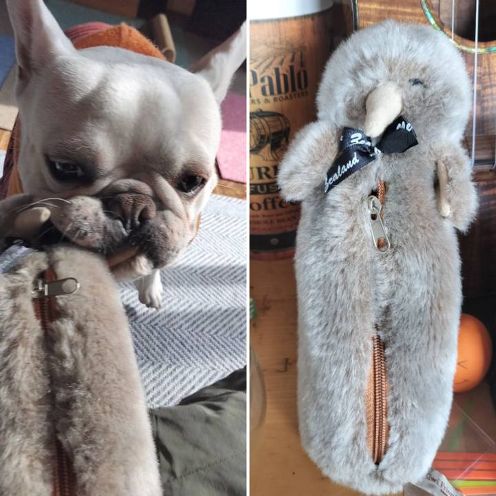 E8ffc4cc 12a5 4540 9b96 1219675565db 1674357842815