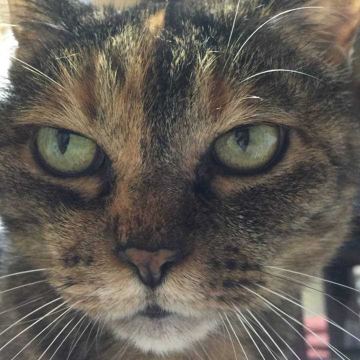 E8ffc900 bd4d 401a b0ca 6a0785c8bd8e 1528011889217