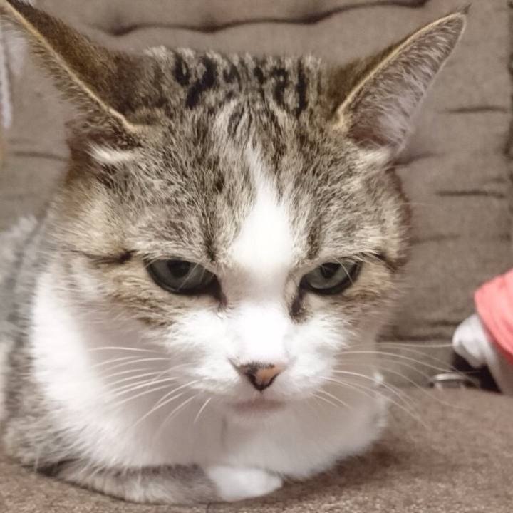 E8ffe847 370d 4582 ab9d 135255bf7cff 1772579777579