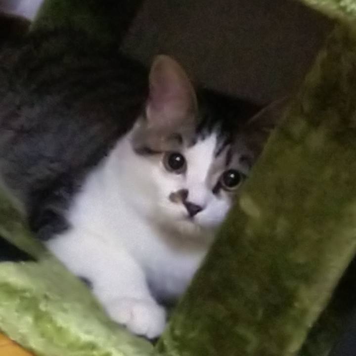 E9001412 180c 4cbe 8e19 3919bae6fbec 1615288304405