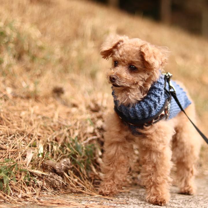 E9002bee 61c1 47dd 8bf0 db8b4445638e 1665091057345