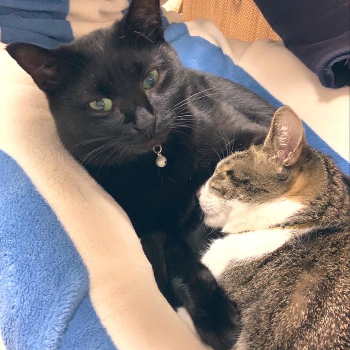 E9007750 2622 48d5 891b ab3c0e037323 1573479607984