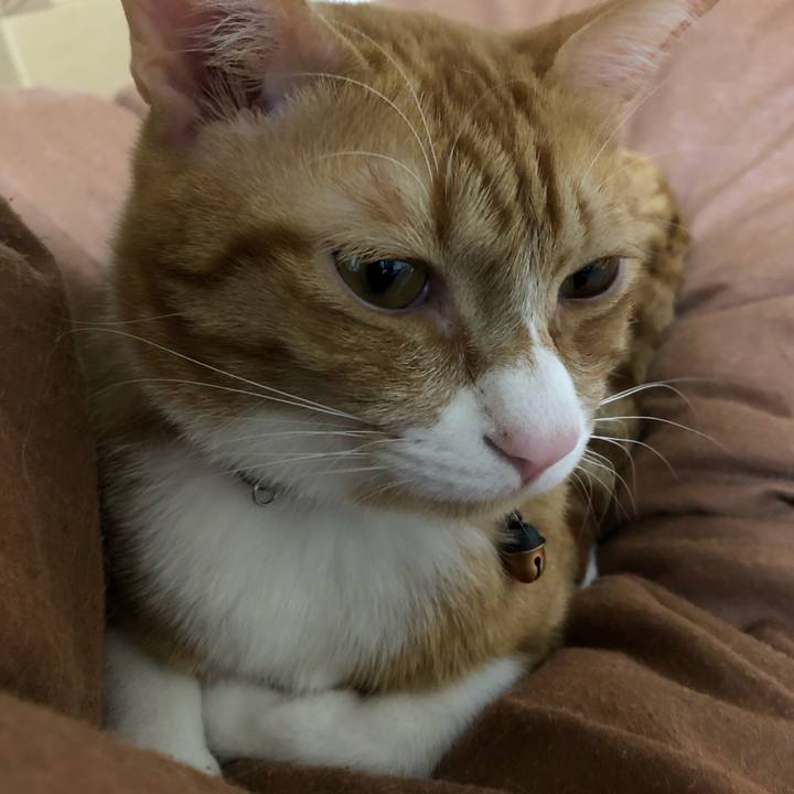 E90091af 21ed 457c 900d ed5a04f0ce57 1564835906184