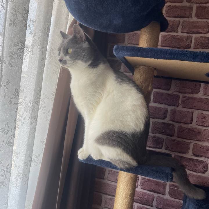 E9009f56 db86 4986 8cf5 95d9b22ec057 1749257794820