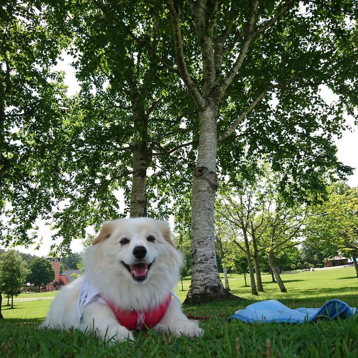 E900a7b8 2c19 48d8 9216 3e9dd072949b 1564665258926