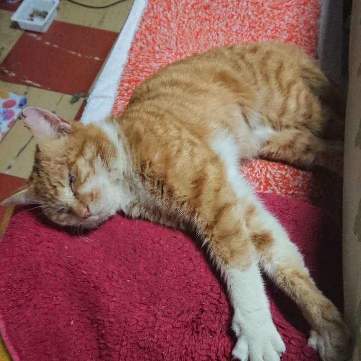 E900bd59 caf7 4495 826e ec931f139f96 1550836609525