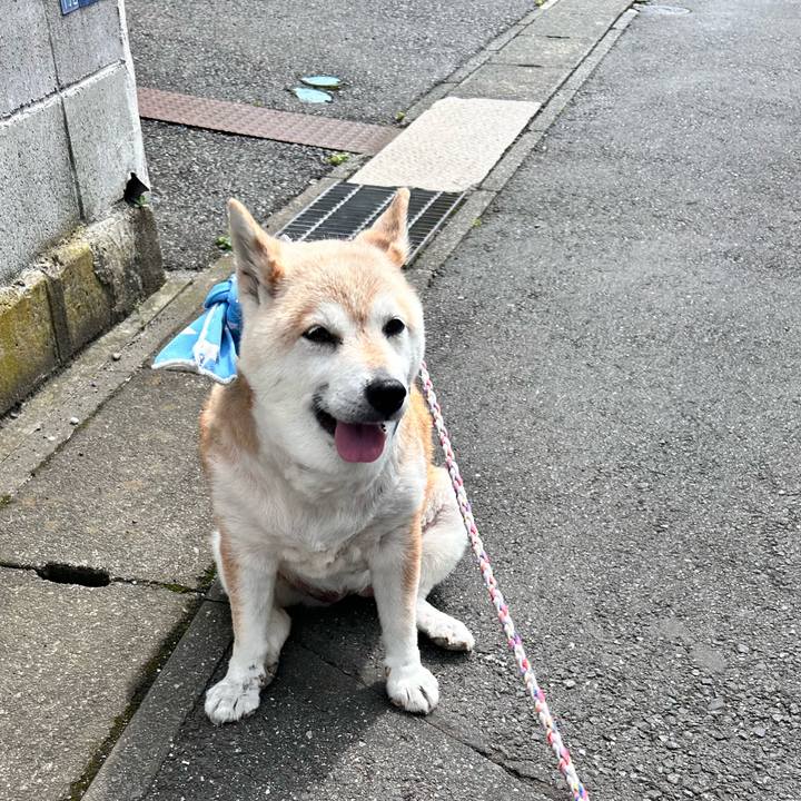 E90101d0 7601 4375 bb0a 05678c9c88f8 1749705971786