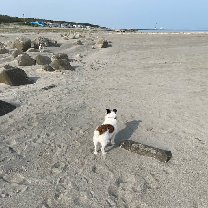 E901045b 5a51 4c8f a6c9 cf88fff105ab 1747285164007