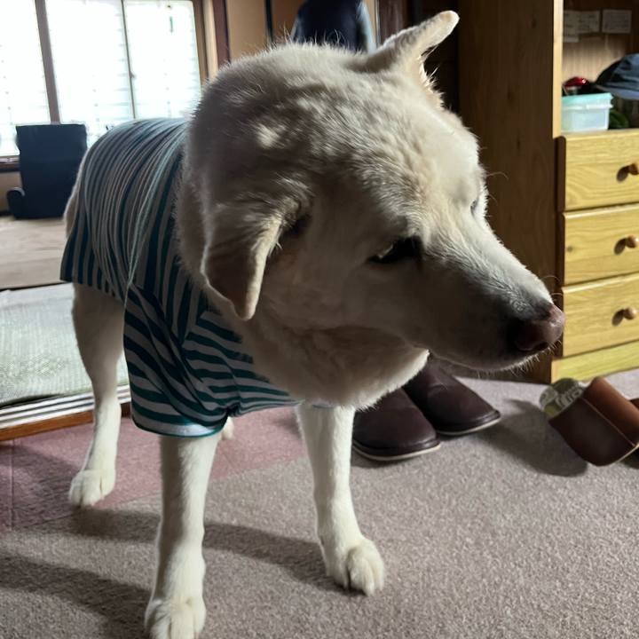 E9012101 5dcf 4e82 9209 a5e23aa85144 1768005257306