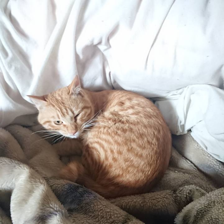 E901211c 05e1 4d16 a883 866545260c71 1649300112549