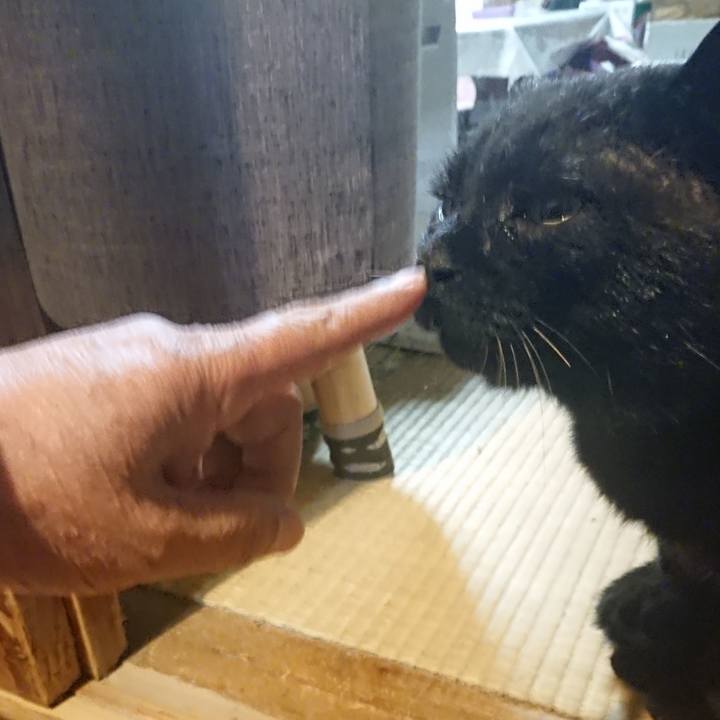 E9013966 338f 42cb 9ac4 315d157b553e 1618314510215