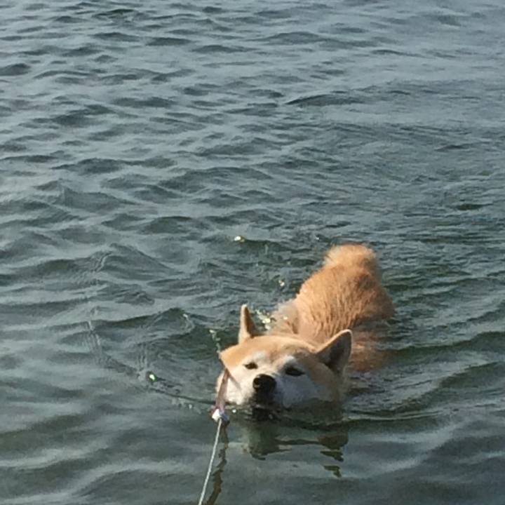 E9015f6e aa87 462a a359 bc98ccb27975 1763963986779