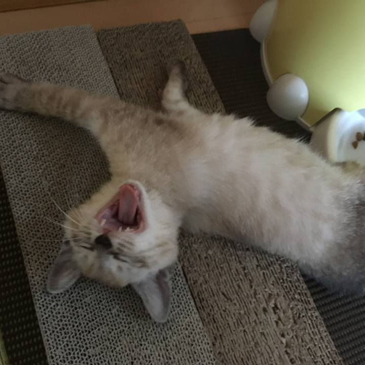 E9017587 fcb2 4685 ad6c 9e23d6a5bc40 1533371250786