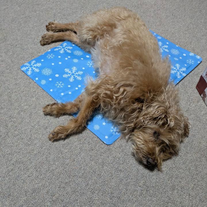 E90182bc 72ee 47c3 b584 d9fe2527efc6 1755816902669