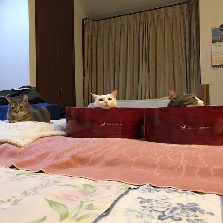 E9018302 0a0f 44b4 9175 3b56374fa4f7 1601616830227