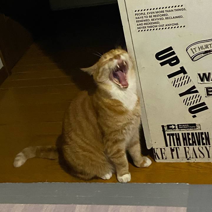 E9018479 4722 4044 9dc5 3d0196c4eed8 1658067588132