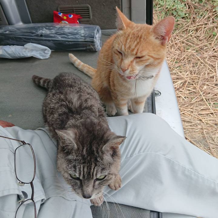 E901e84e 3e03 434e a1ea 466d4b21f95e 1591954501589