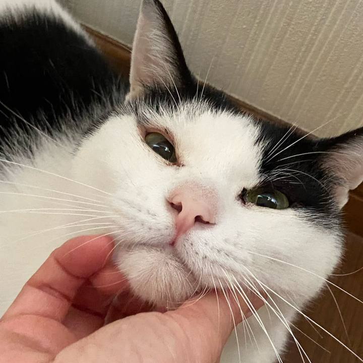 E901f64b fb10 4004 ab9d fe8720512df9 1589590094983