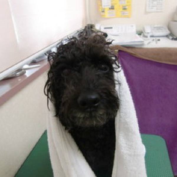 E9020845 5517 4702 9f67 b8db9f2545e1 1691981405050