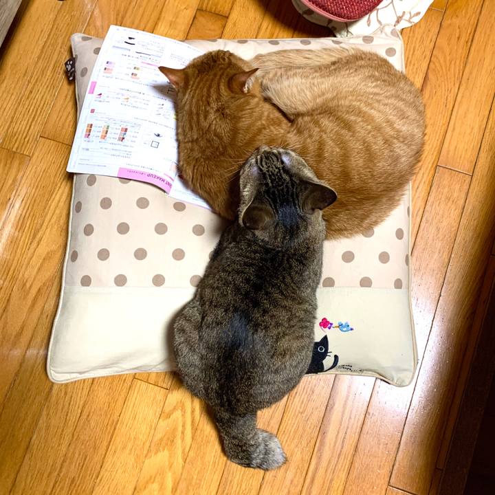 E9022a6f 99f7 4361 aab9 436e5c323920 1592028374510