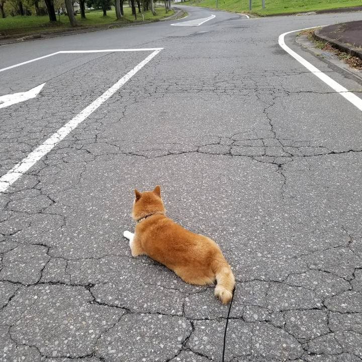 E9024444 8a2f 42ab 872c 420e969d68f2 1663989218268