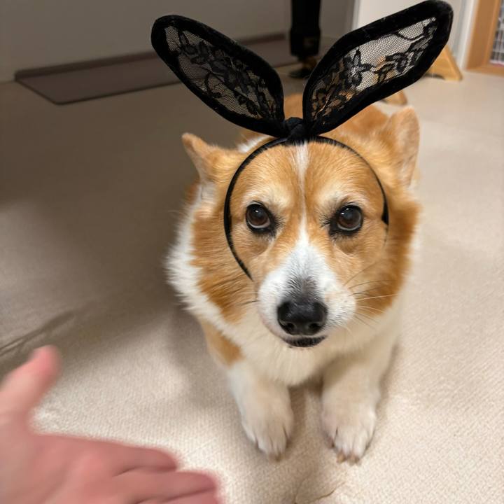 E9026d80 5967 4f33 8f6f 8e00c2301e7f 1761918336930