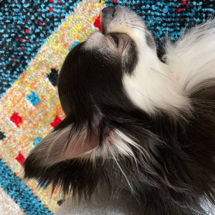 E9027477 fb14 412f ab19 cdfd39ca7eb3 1679755932594