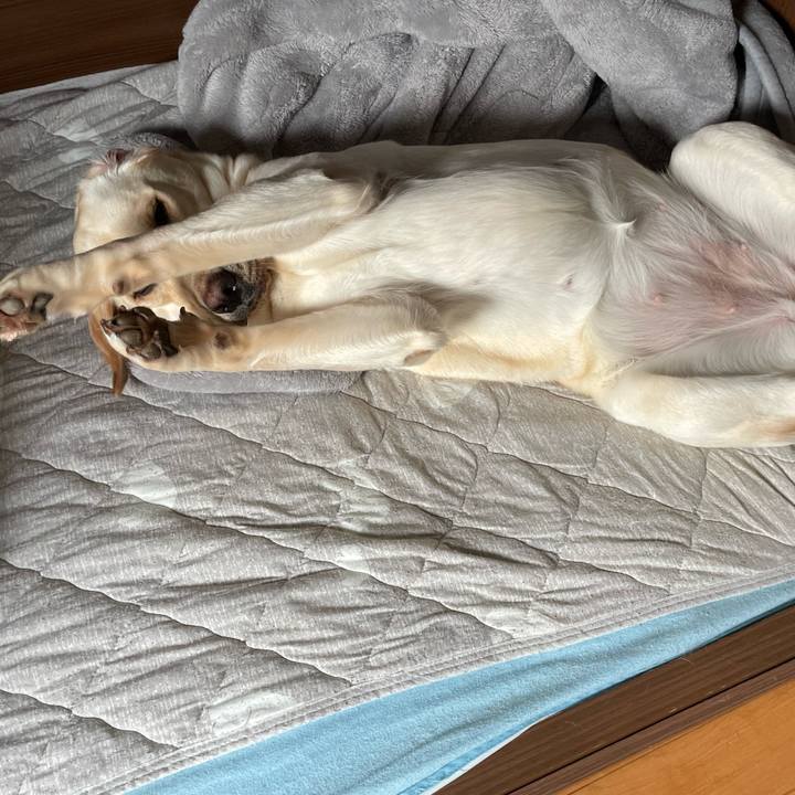 E9027635 d08a 4e48 8fea d8df7341f35c 1652668595120