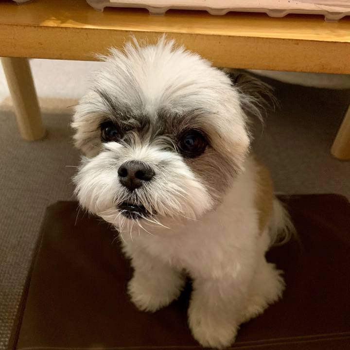 E9030254 80b8 4109 acea cc9fff2cd13c 1623378735503