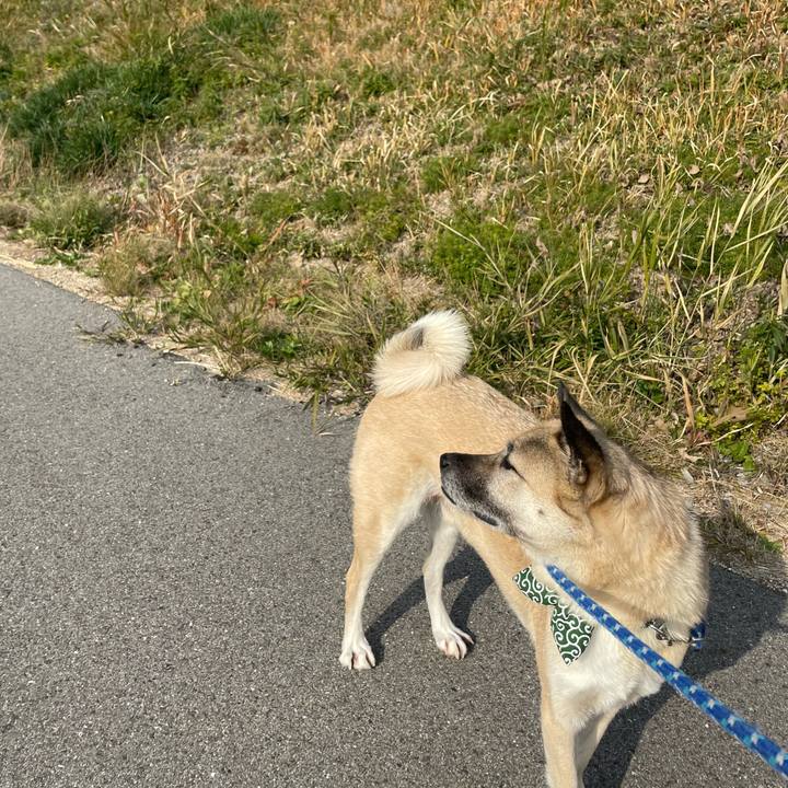 E90318ff f05c 4408 908a 85f79122a99f 1672481933491