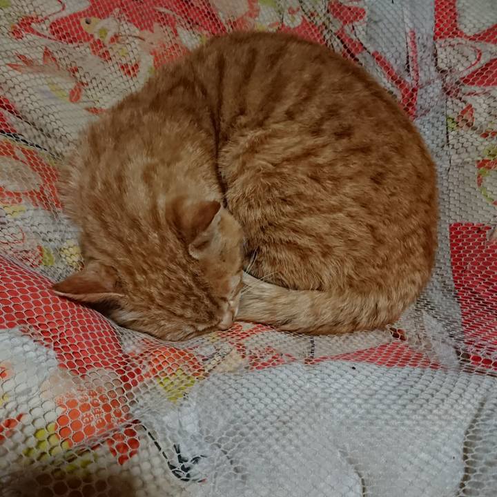 E9033df1 f19b 437f 83c8 e1c76ccccc45 1554120369447