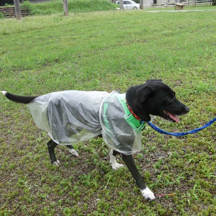 E9035f16 1d5c 4dc9 a39a 66825c9bf050 1594941808284