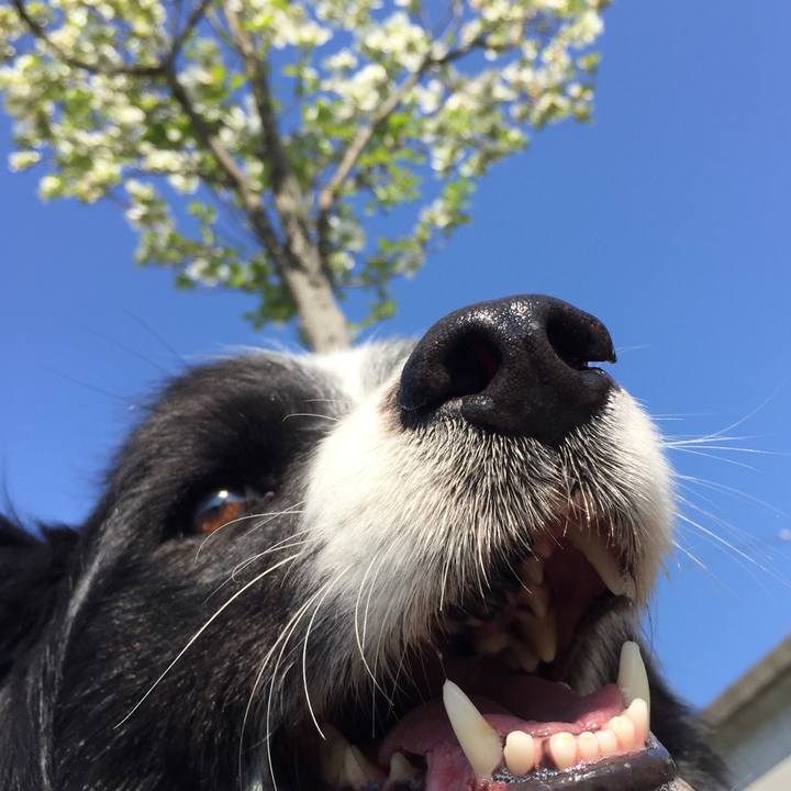 E90365fb f6b4 4ad9 b6b7 b7dde72bf295 1555808540462