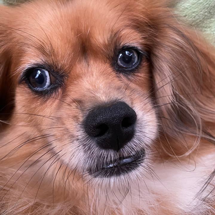 E9039574 a30f 413d 859b 8cb26f03efa5 1663368709428