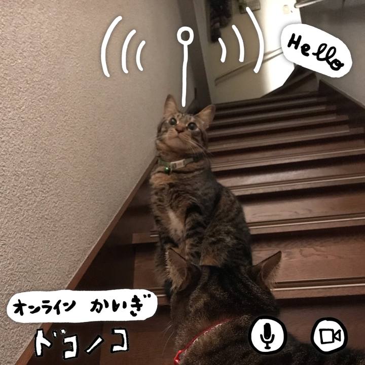 E903a815 ff4e 4155 a331 2ac51e545f5b 1590684206574