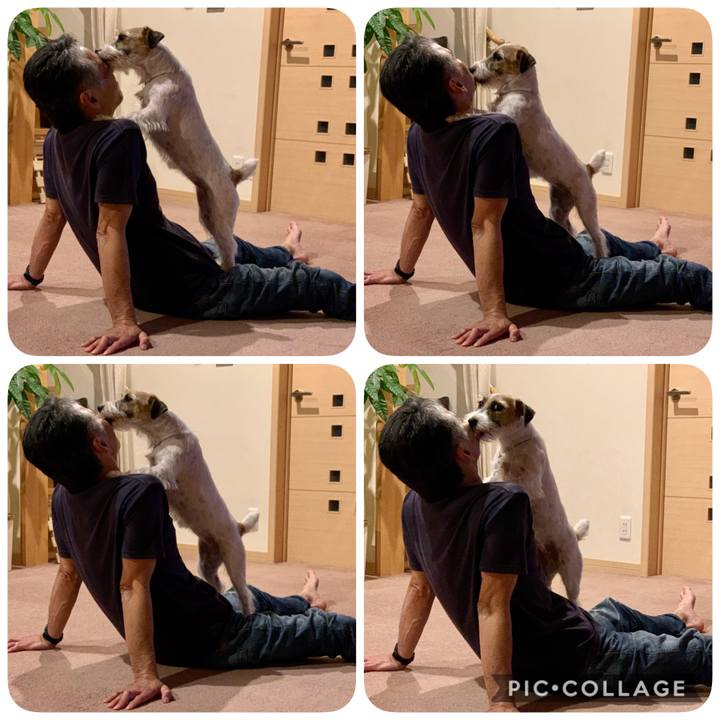 E903bba5 0f72 42fe 9e41 0b8eb89dfac8 1602591901083