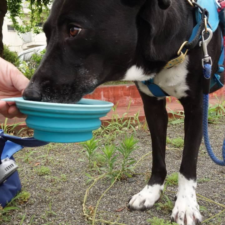 E903c38e 1e1a 4a6c a873 1746204e9276 1624754175470