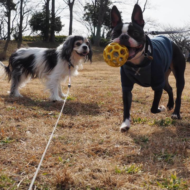 E9042791 e1cf 4aef 9bc1 ff794428c7e8 1549777867413