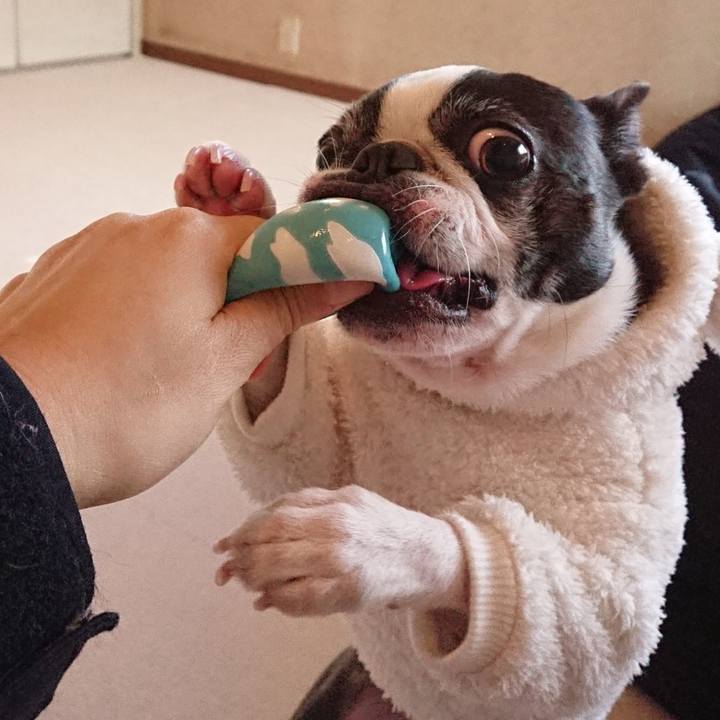 E904beb3 57d0 4eb3 a87c 31a850ac6ddc 1518784819783