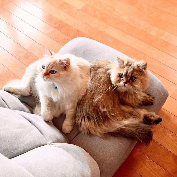 E904cb49 bca0 42bc a192 4d4af6bb868c 1680773615967