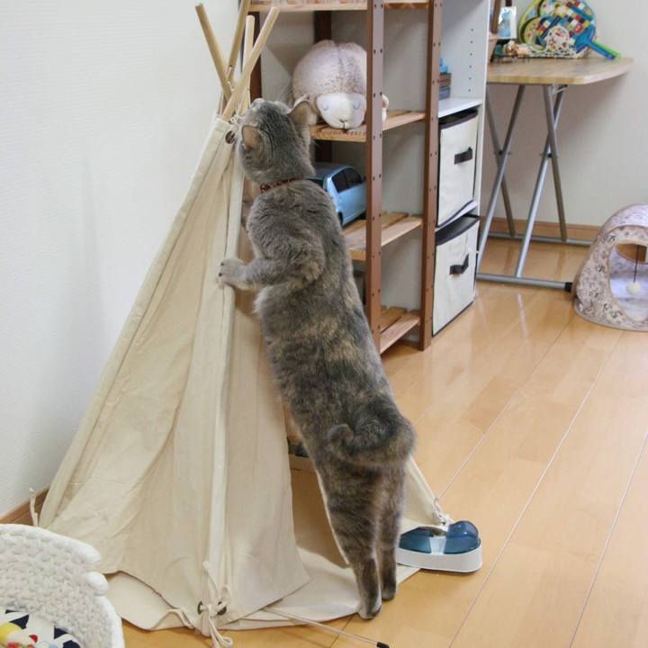 E904fd6e e9e1 4067 9a76 33883c43535d 1540515579861