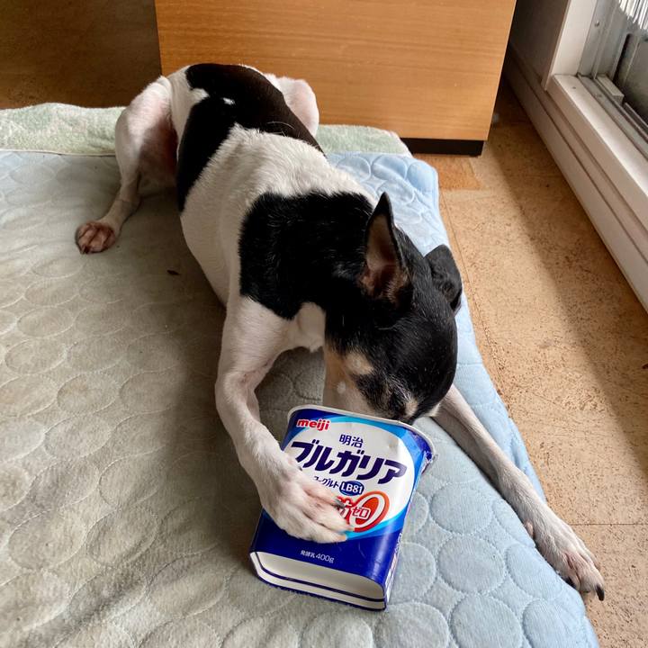 E905136b 91ad 4e58 b2c8 be7c032f46b5 1599172688813