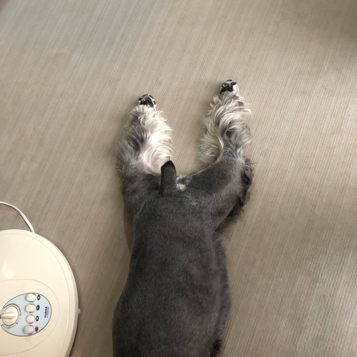 E905200f c30b 44ff 8ace 980dbdb944b7 1660177859604