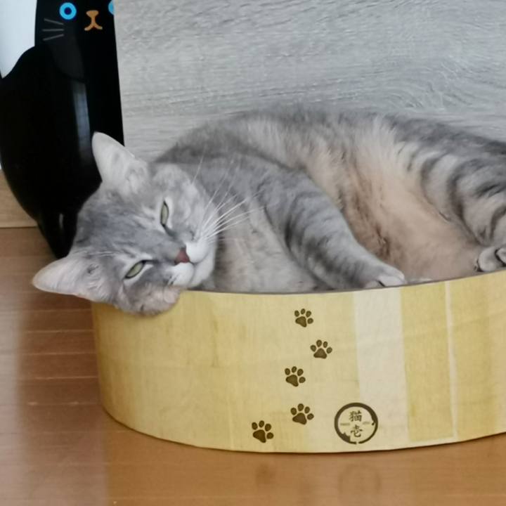 E9053195 b051 40e1 81cc d2cac5d3aacb 1609128418453